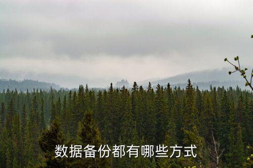 數(shù)據(jù)備份都有哪些方式