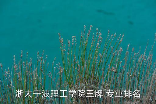 自動化專業(yè)藍(lán)領(lǐng)之王