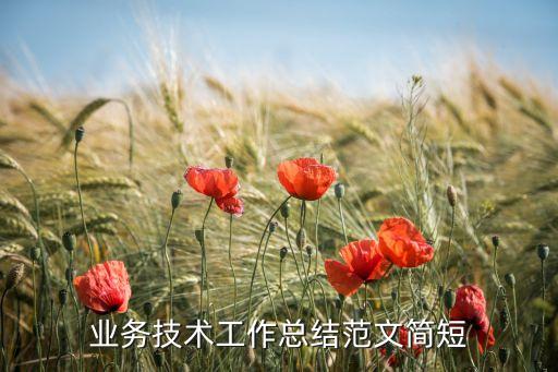 業(yè)務(wù)技術(shù)工作總結(jié)范文簡(jiǎn)短