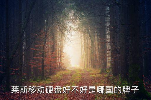 萊斯移動(dòng)硬盤好不好是哪國(guó)的牌子