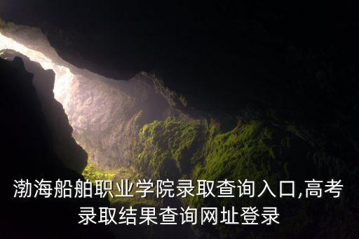 渤海船舶職業(yè)學(xué)院錄取查詢?nèi)肟?高考錄取結(jié)果查詢網(wǎng)址登錄