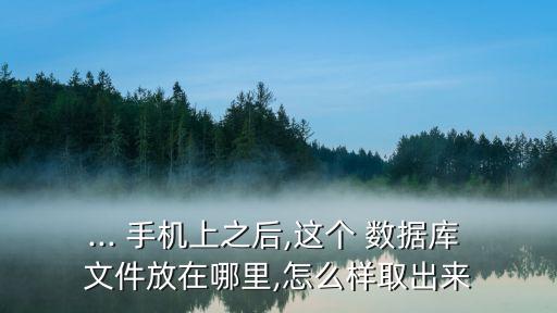 ... 手機(jī)上之后,這個(gè) 數(shù)據(jù)庫 文件放在哪里,怎么樣取出來