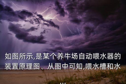 自動化養(yǎng)牛場需要的設(shè)備,搞一個自動養(yǎng)牛場需要花費多少?