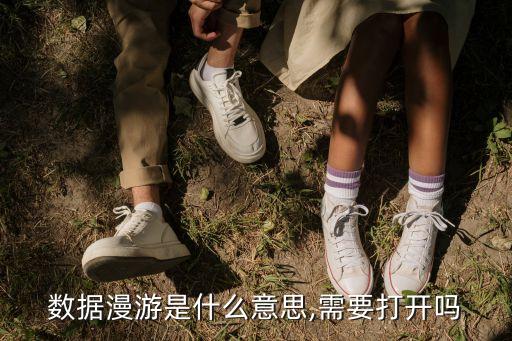 數(shù)據(jù)漫游和數(shù)據(jù)網(wǎng)絡(luò),移動(dòng)數(shù)據(jù)網(wǎng)絡(luò)漫游有何用處?
