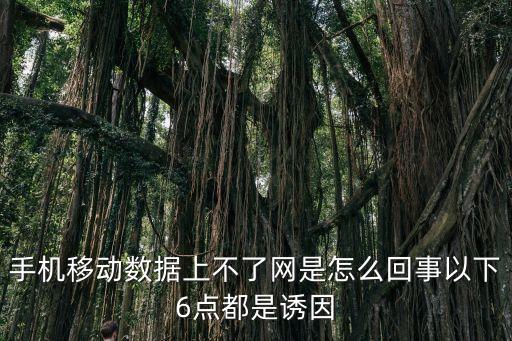 手機數(shù)據(jù)不能上,手機連不上數(shù)據(jù)流量怎么回事?
