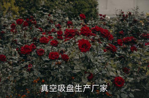 真空吸盤生產(chǎn)廠家