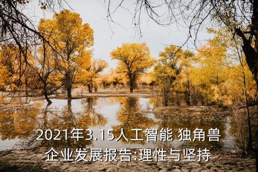 2021年3.15人工智能 獨角獸企業(yè)發(fā)展報告:理性與堅持