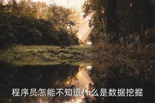 程序員怎能不知道什么是數(shù)據(jù)挖掘