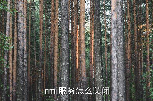  rmi服務(wù)怎么關(guān)閉