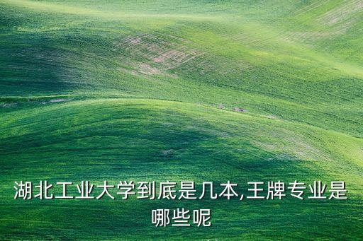 湖北專業(yè)自動(dòng)化設(shè)計(jì)學(xué)校,湖北理工學(xué)院王牌專業(yè)是什么?