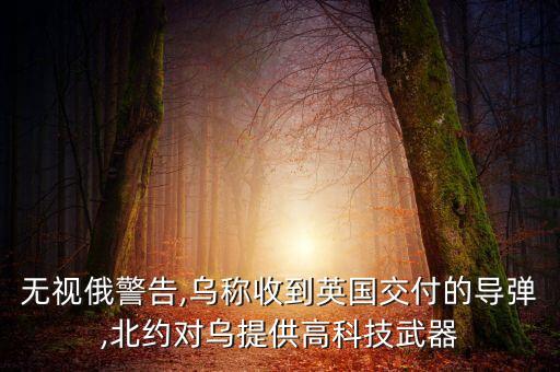無視俄警告,烏稱收到英國(guó)交付的導(dǎo)彈,北約對(duì)烏提供高科技武器