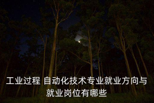 工業(yè)過程 自動化技術(shù)專業(yè)就業(yè)方向與就業(yè)崗位有哪些