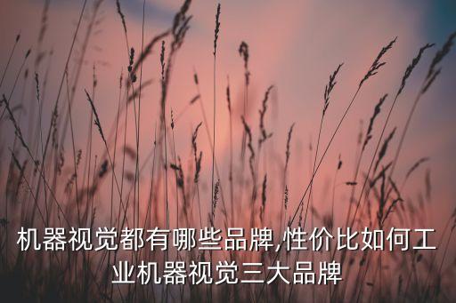 機(jī)器視覺都有哪些品牌,性價(jià)比如何工業(yè)機(jī)器視覺三大品牌