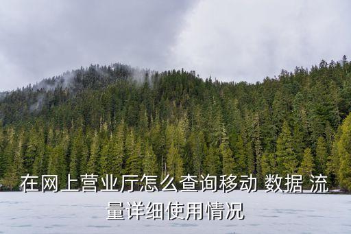 在網(wǎng)上營業(yè)廳怎么查詢移動 數(shù)據(jù) 流量詳細(xì)使用情況