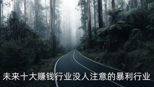 未來十大賺錢行業(yè)沒人注意的暴利行業(yè)