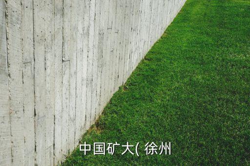 中國礦大( 徐州