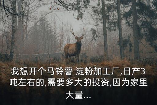 我想開個(gè)馬鈴薯 淀粉加工廠,日產(chǎn)3噸左右的,需要多大的投資,因?yàn)榧依锎罅?..