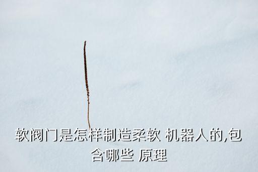 軟閥門是怎樣制造柔軟 機(jī)器人的,包含哪些 原理
