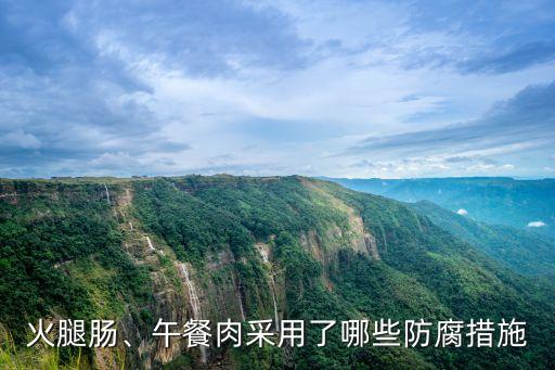 午餐肉自動化加工設(shè)備,如何自制健康午餐肉?