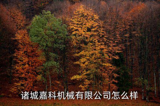 溫州非標(biāo)自動化設(shè)備企業(yè),哪些比較好的非標(biāo)自動化設(shè)備?