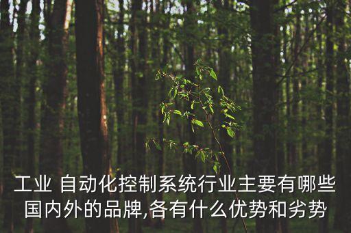 工業(yè) 自動(dòng)化控制系統(tǒng)行業(yè)主要有哪些國(guó)內(nèi)外的品牌,各有什么優(yōu)勢(shì)和劣勢(shì)