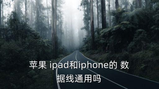 蘋果 ipad和iphone的 數(shù)據(jù)線通用嗎