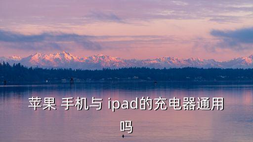 蘋果 手機(jī)與 ipad的充電器通用嗎