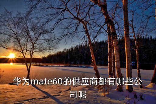 深圳市匯頂自動(dòng)化有限公司,曾任深圳匯頂科技董事長(zhǎng)和總經(jīng)理