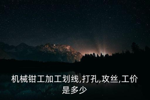 服裝打剪口自動(dòng)化設(shè)備價(jià)格,非標(biāo)自動(dòng)化設(shè)備有哪些?
