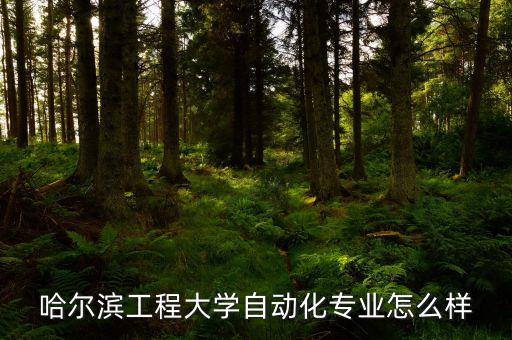 哈工大的自動(dòng)化專業(yè)有哪些,哈工大自動(dòng)化專業(yè)怎么樣?