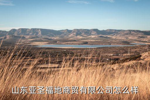 鄒城工業(yè)自動化公司有哪些,周村區(qū)高新技術(shù)企業(yè)有哪些?