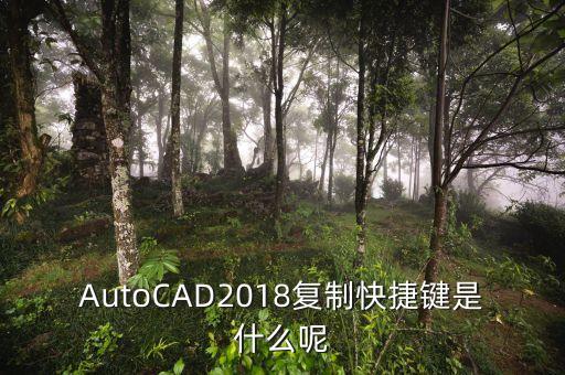 cad復制快捷鍵命令,矩形快捷方式怎么用?