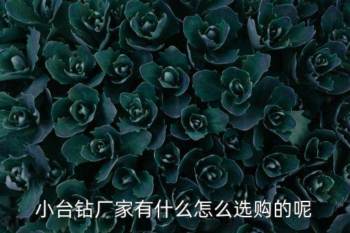 小臺(tái)鉆廠家有什么怎么選購的呢