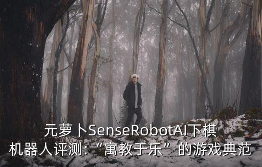 元蘿卜SenseRobotAI下棋機(jī)器人評(píng)測(cè):“寓教于樂”的游戲典范