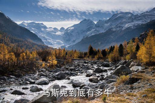 馬斯克第一性原理,第一性原理思維方式是什么?