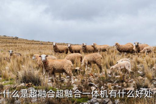 什么是超融合超融合一體機(jī)有什么好處