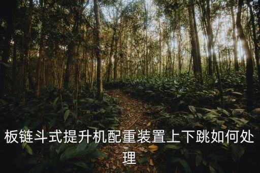 板鏈斗式提升機(jī)配重裝置上下跳如何處理