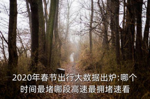 2020年春節(jié)出行大數(shù)據(jù)出爐:哪個(gè)時(shí)間最堵哪段高速最擁堵速看