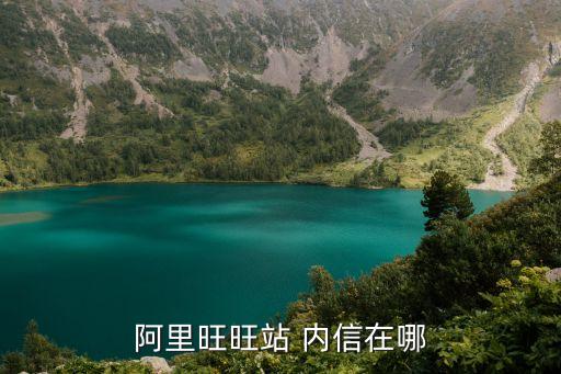 阿里旺旺站 內(nèi)信在哪