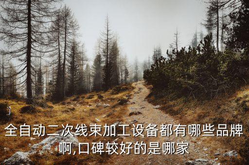 全自動二次線束加工設(shè)備都有哪些品牌啊,口碑較好的是哪家
