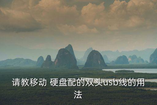 請(qǐng)教移動(dòng) 硬盤配的雙頭usb線的用法