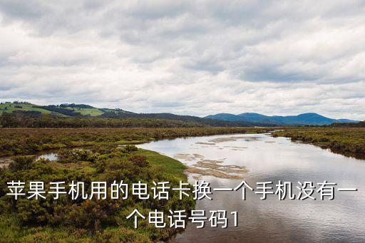 蘋果手機(jī)用的電話卡換一個(gè)手機(jī)沒有一個(gè)電話號(hào)碼1