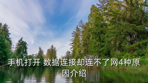 手機打開 數(shù)據(jù)連接卻連不了網(wǎng)4種原因介紹