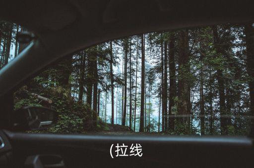 (拉線