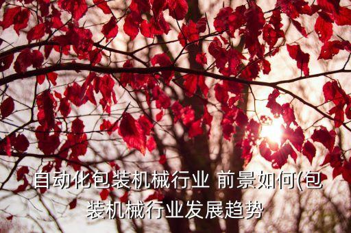  自動化包裝機械行業(yè) 前景如何(包裝機械行業(yè)發(fā)展趨勢