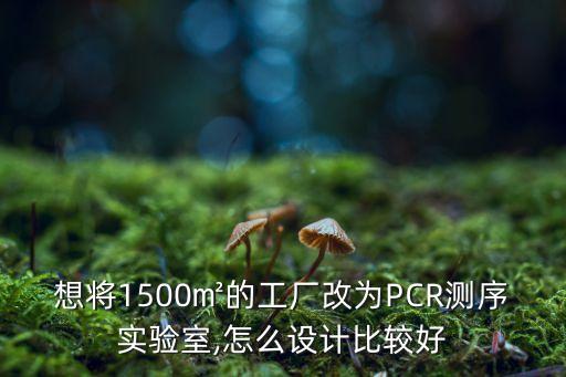 想將1500㎡的工廠改為PCR測序?qū)嶒炇?怎么設(shè)計比較好