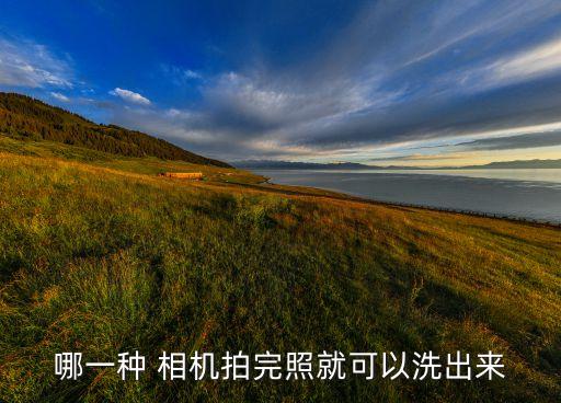 哪一種 相機拍完照就可以洗出來