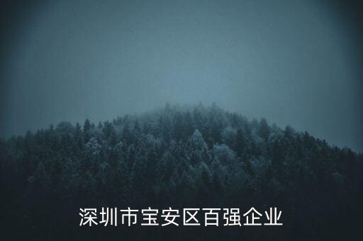 深圳市寶安區(qū)百強企業(yè)