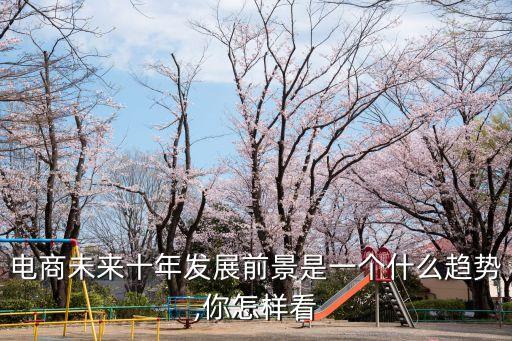 電商未來十年發(fā)展前景是一個(gè)什么趨勢,你怎樣看