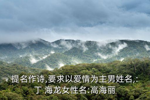 丁海龍